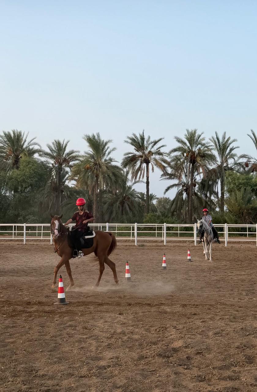 أصالة الخيل و سحر الطبيعة
